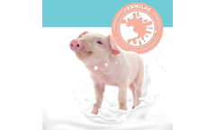 Lam-Tak - Model Fermilac - Milk Replacer