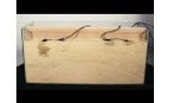 Integrate Lateral Movement Trial Engage Agro Europe Video