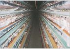 Hosoya - Windowless Poultry House
