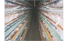 Hosoya - Windowless Poultry House