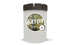 Fordia - Gator Crown Shoes