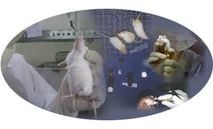 Toxindia - Sub-Acute Toxicity Tests Service