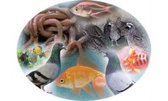 Toxindia - Ecotoxicity Testing Service