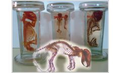 Toxindia - Teratology Service