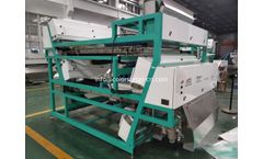 Anhui ZHONGKE - Belt Color Sorter Peanut Color Sorter Machine