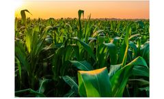 Indigo Expands 2023 Biological Crop Protection Line with New Biofungicide