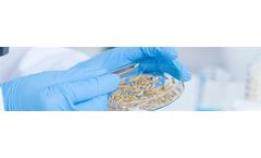 Indigo - Grain Quality Testing Technology