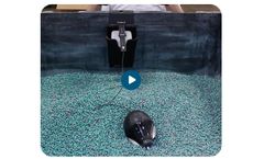 Indigo CLIPS - Biological Seed Treatment Applicator Installations - Video