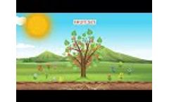 Innovative Specialties-Biostimulants and Biopromoters for plants - Video
