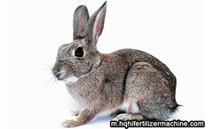 The rabbit manure organic fertilizer production and granulation machine