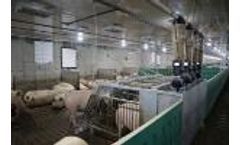 How to build a powdered organic fertilizer production line for small farms