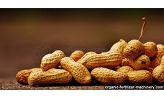 Method for fermenting organic fertilizer by peanut shell