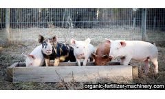 Market Prospect of Organic Fertilizer Manufacturing Plant
