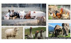 How to deal with manure in animal farms