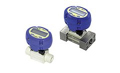 OVAL - Model Eggs DELTA - Karman Vortex Flow Monitor