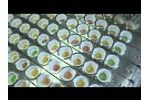 LINEA - Greek yogurt with 3 different fruit jams Video