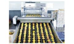 Automatic Peach to the Nuclear Machine