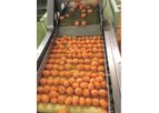 Automatic Orange Peeling Machine