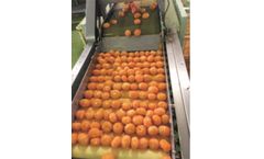 Automatic Orange Peeling Machine