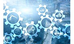 Integration and Diversification Services