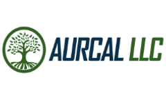 Aurcal - Low Level Conductivity