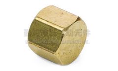 Legines - Model CAP 3129 - Pipe Fitting