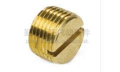 Legines - Model 3150# - Slotted Plug