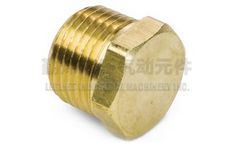 Legines - Model 3152# - Hex Head Plug