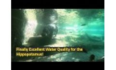 Hippopotamus Filtration Systems Video