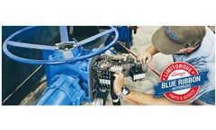 Flotech - Limitorque Actuator Blue Ribbon Repair Service