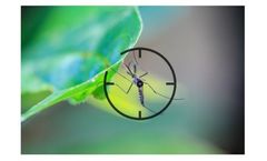 Mosquito Control Services