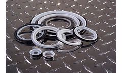 FlowSmart Ameriflex - Gasket
