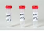 SpikeMix & SpikeTides - Proteomics Peptide Standards Kits