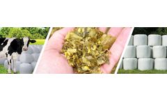 PRESPL - High Nutrition Livestock Forage (Corn Silage)