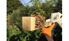 Protected Species Surveys