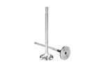 Renex - Engine Valves