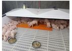 Qingdao - Pigsty Heating Mat