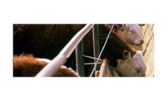Magnesium oxide solutions for agricultural industry