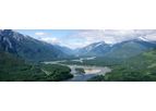 Forestry Services