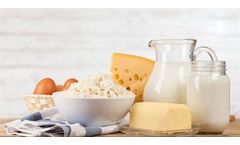 Dairy