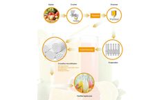 Fruit And Vegetable Juice