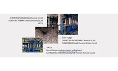 Primary Brine Purification