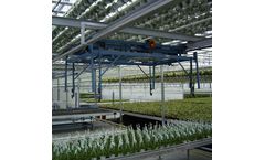 Tava - Overhead Cranes