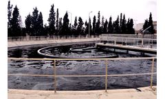 Confident - Biological Process System