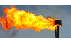 Fuel Gas Analysis Service