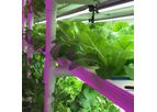 Vertical Crop - Vertical Growing System