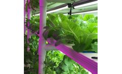 Vertical Crop - Vertical Growing System
