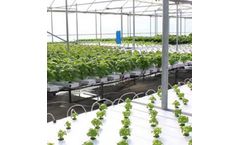 Vertical Crop - Hydroponic Greenhouse Systems