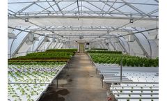 Vertical Crop - Hydroponic Greenhouse Systems