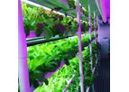 Cropbox - Shipping Container